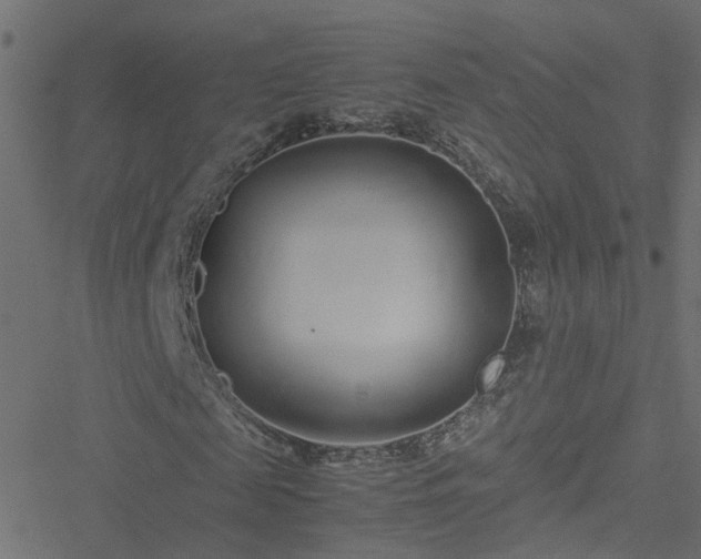 X0000051250817200506241544