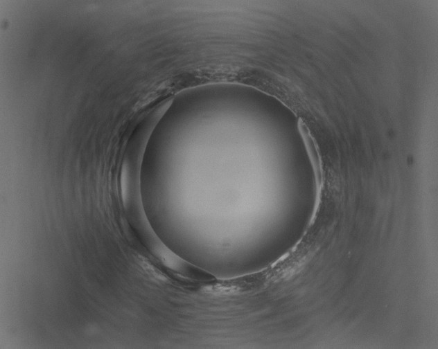 X0000051250818200506241544