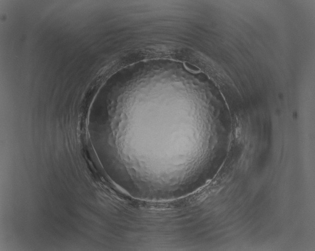 X0000051250819200506241544