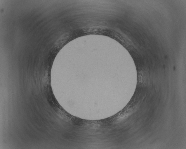 X0000051250820200506241544