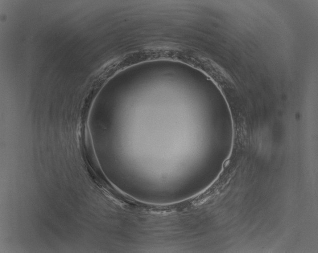 X0000051250821200506241544