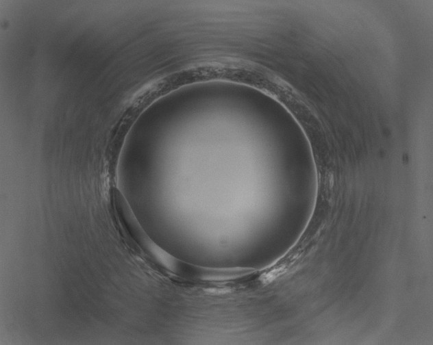 X0000051250822200506241544