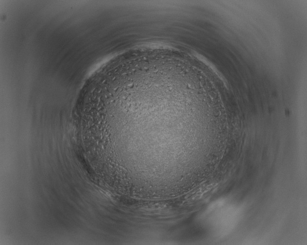 X0000051250823200506241544