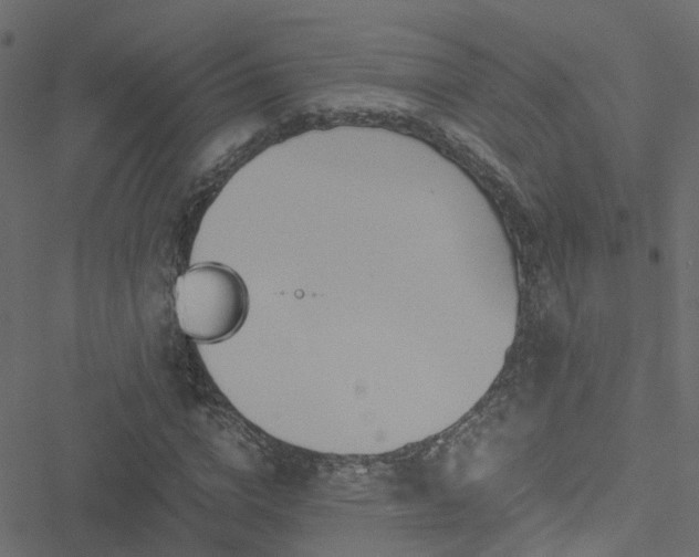 X0000051250824200506241544