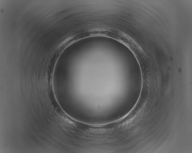 X0000051250825200506241544