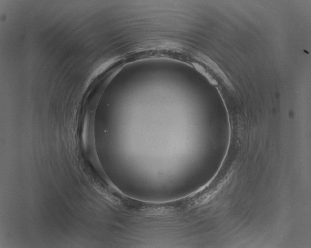 X0000051250826200506241544