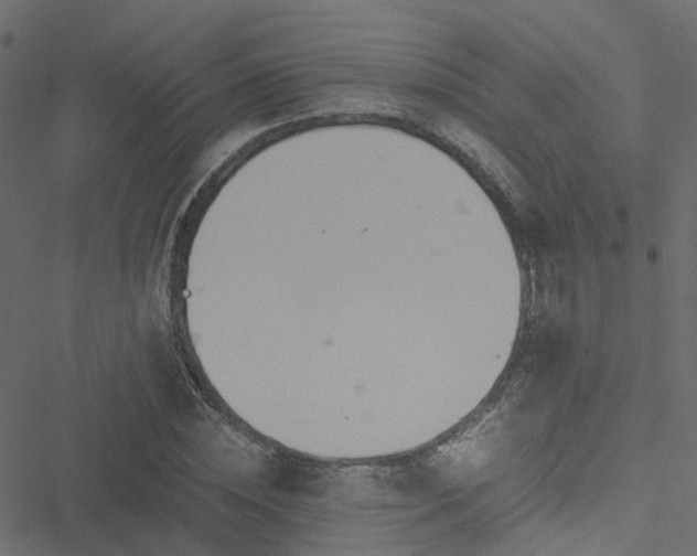 X0000051250828200506241544