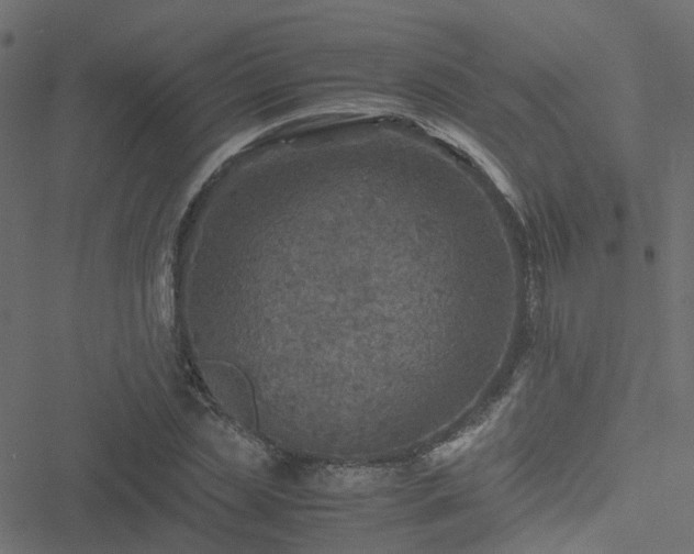 X0000051250829200506241544