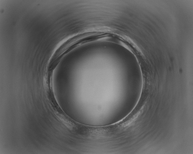 X0000051250830200506241544