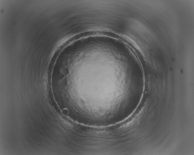 X0000051250831200506241544