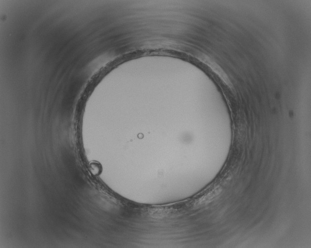 X0000051250832200506241544