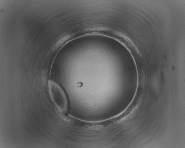 X0000051250833200506241544