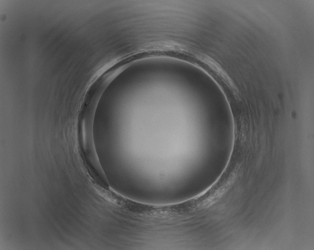 X0000051250834200506241544