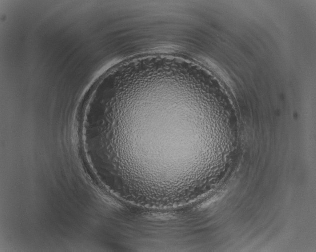 X0000051250835200506241544