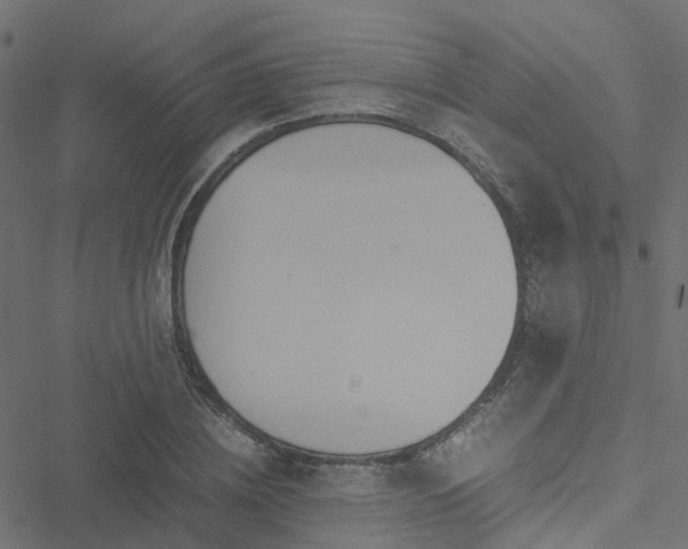 X0000051250836200506241544