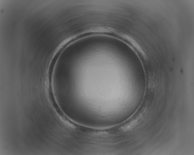 X0000051250837200506241544