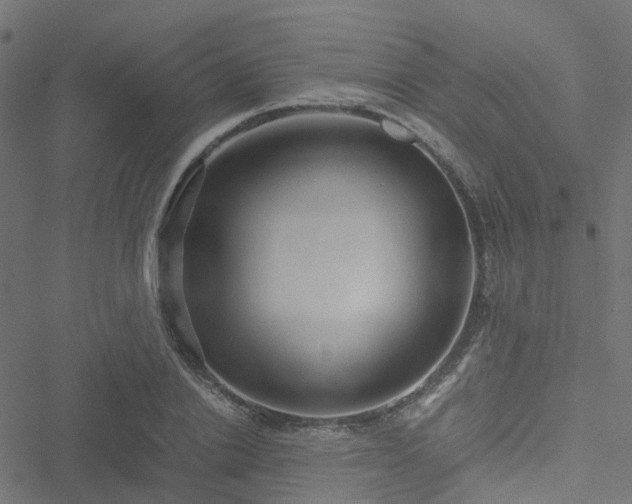 X0000051250838200506241544