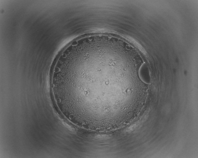 X0000051250839200506241544