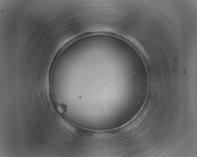 X0000051250840200506241544