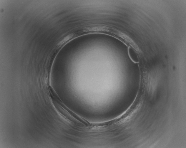 X0000051250841200506241544