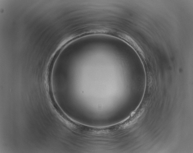 X0000051250843200506241544