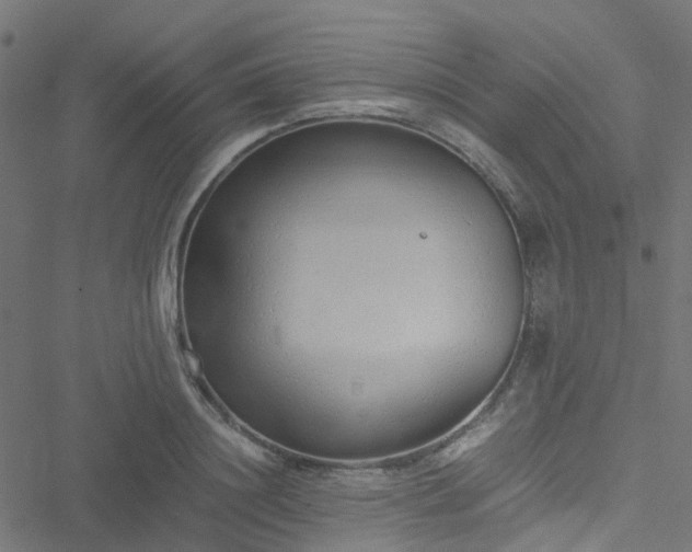 X0000051250844200506241544