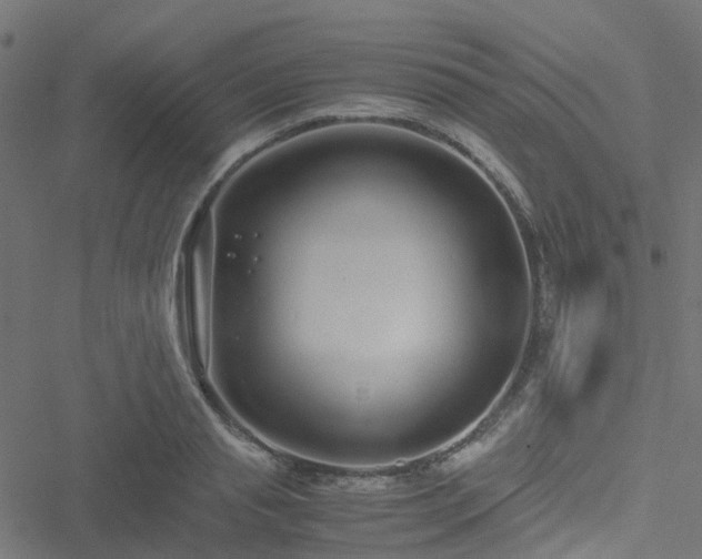 X0000051250845200506241544