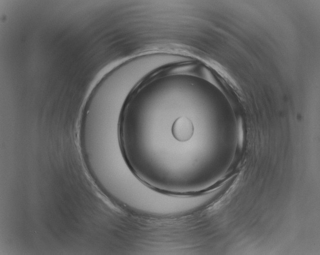 X0000051250846200506241544