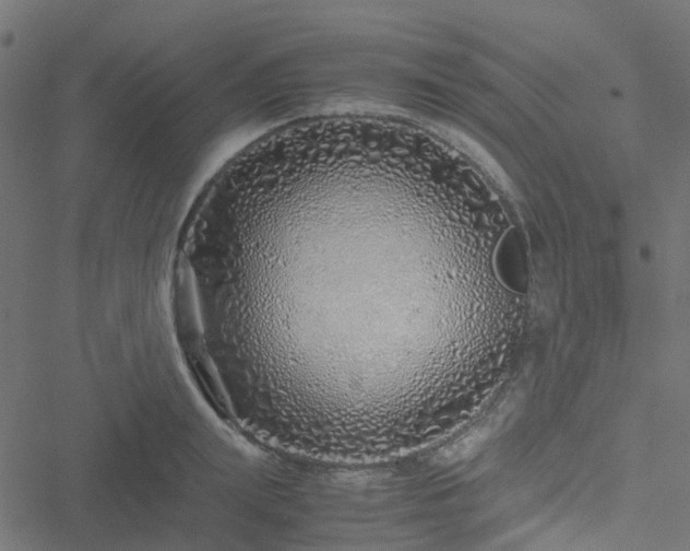 X0000051250847200506241544