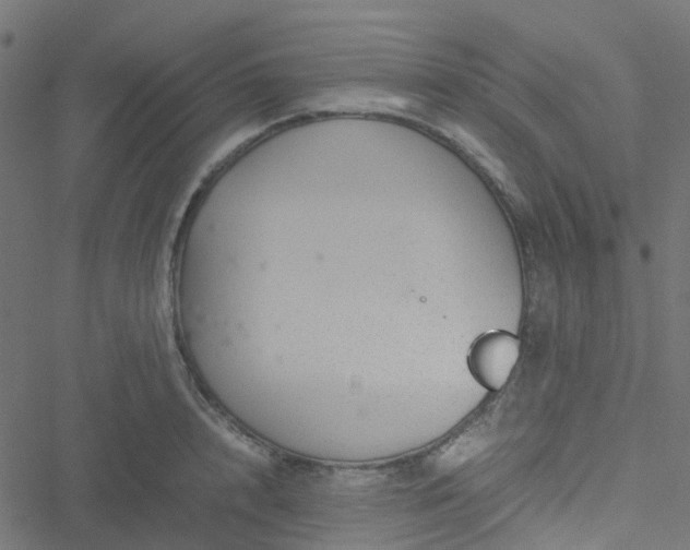 X0000051250848200506241545