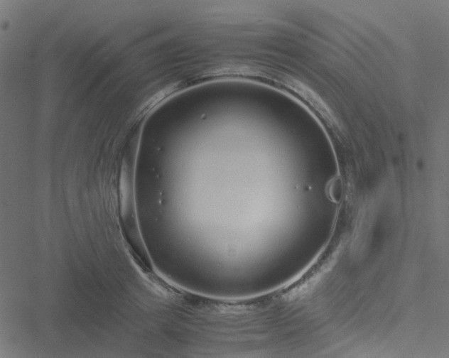 X0000051250849200506241545