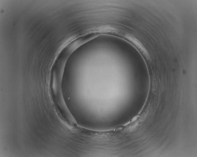 X0000051250850200506241545