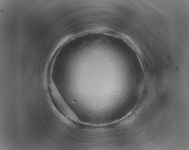 X0000051250851200506241545