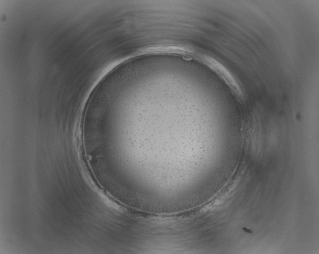 X0000051250852200506241545