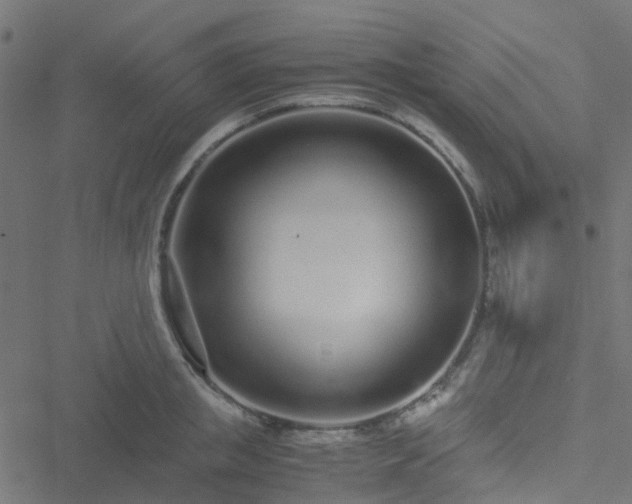 X0000051250853200506241545