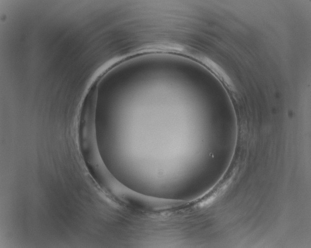 X0000051250854200506241545