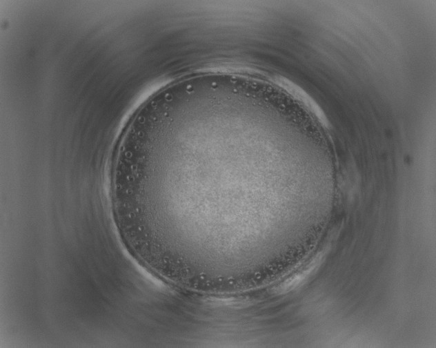 X0000051250855200506241545