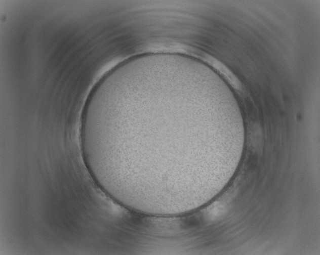 X0000051250856200506241545