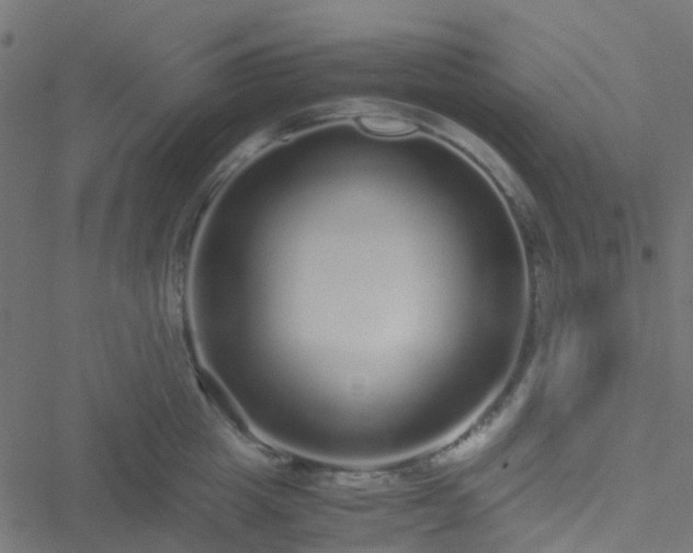 X0000051250857200506241545