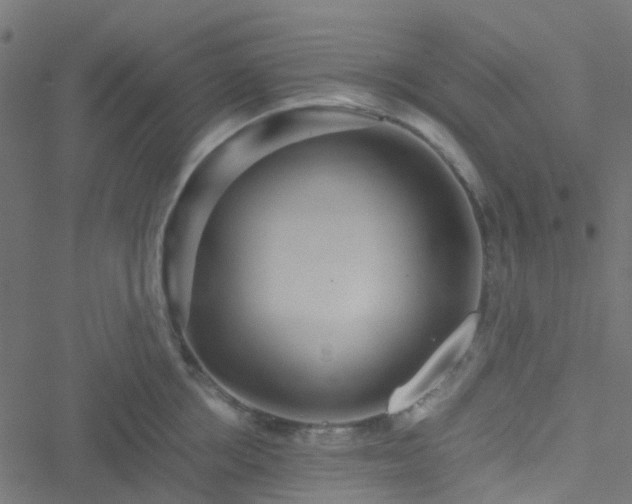 X0000051250858200506241545