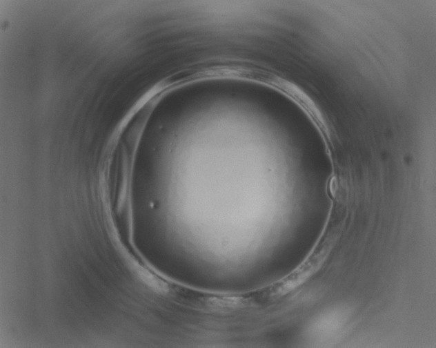 X0000051250859200506241545