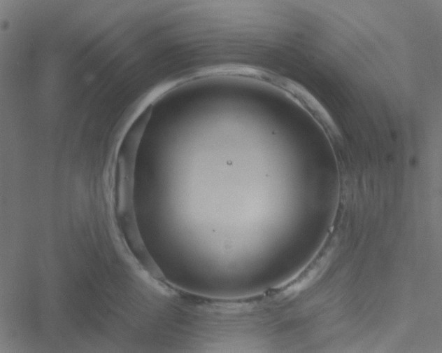 X0000051250860200506241545