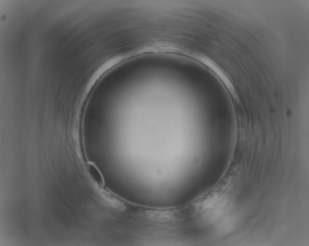 X0000051250861200506241545