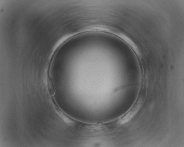 X0000051250862200506241545