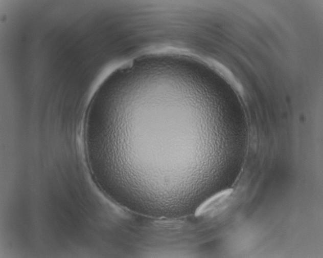 X0000051250863200506241545