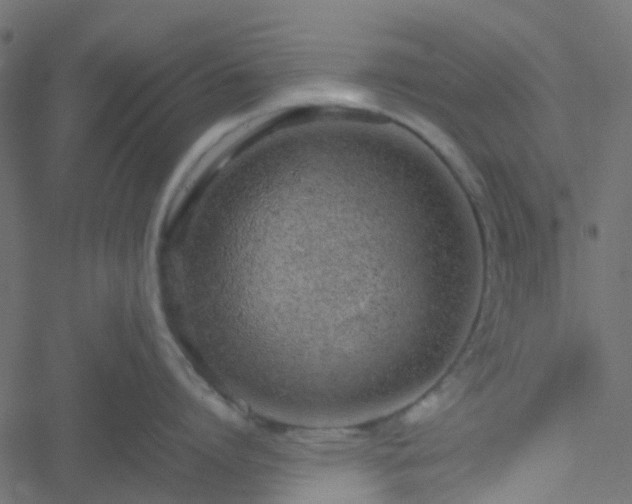 X0000051250864200506241545