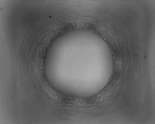 X0000051250865200506241544