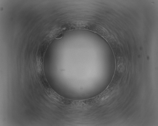 X0000051250866200506241544