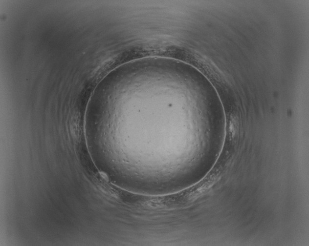 X0000051250867200506241544