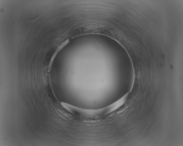 X0000051250868200506241544